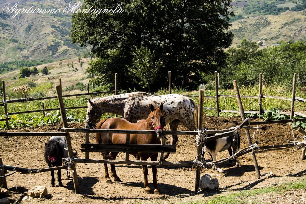 Agriturismo Montagnola Abruzzo Villa Casalanguida Bagian luar foto