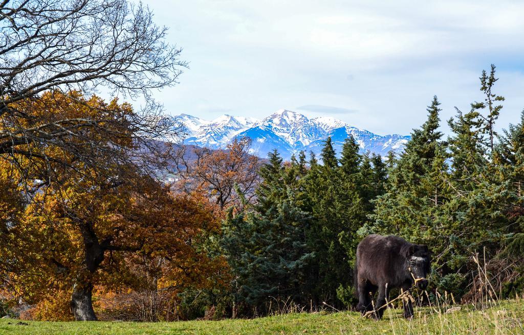 Agriturismo Montagnola Abruzzo Casalanguida Bagian luar foto